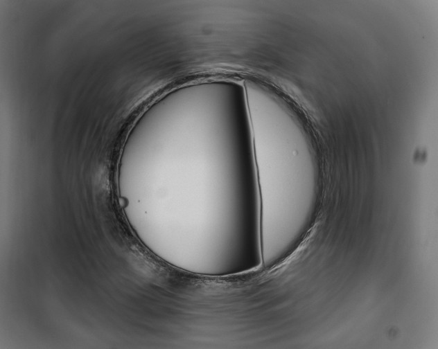 X0000101401209200807071021