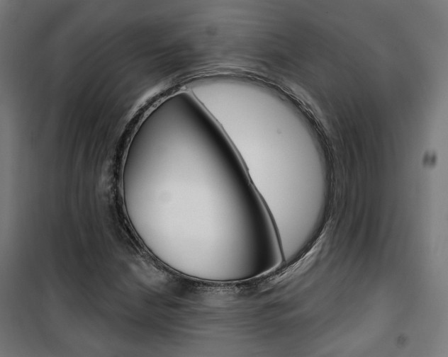 X0000101401210200807071021