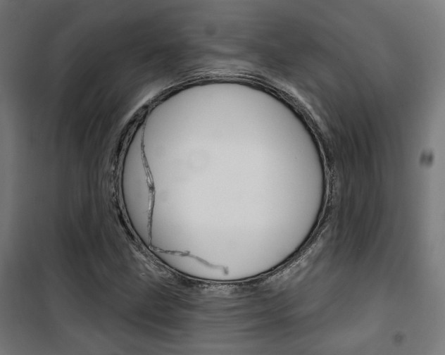 X0000101401211200807071021
