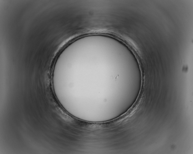X0000101401212200807071021