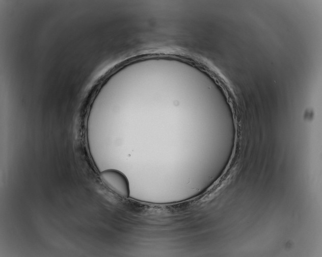 X0000101401215200807071021