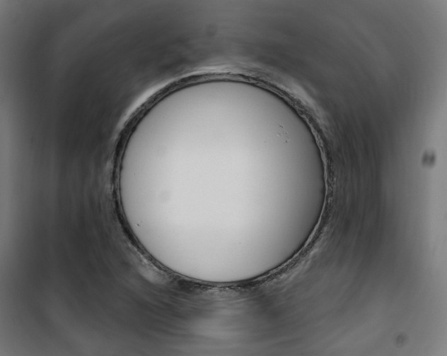 X0000101401216200807071021