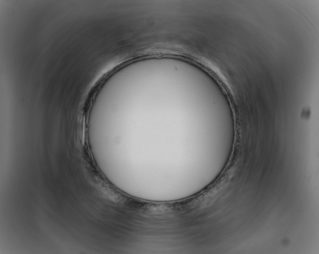 X0000101401219200807071021