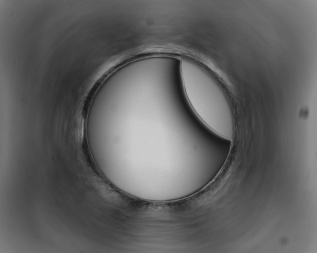 X0000101401221200807071021