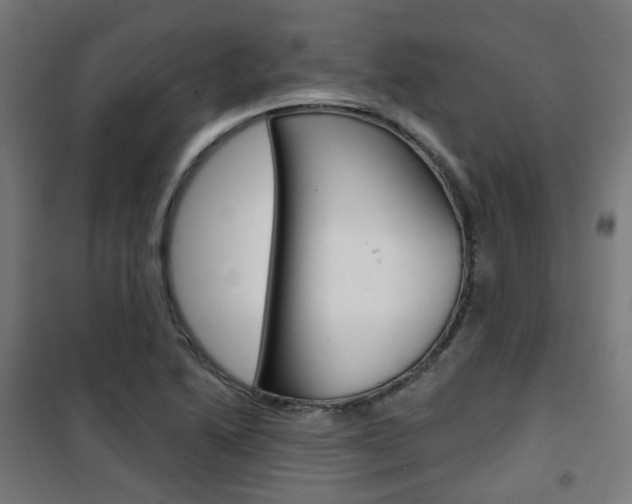X0000101401222200807071021