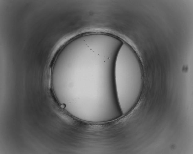 X0000101401223200807071021