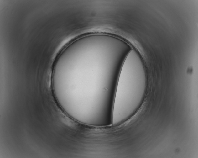 X0000101401224200807071022