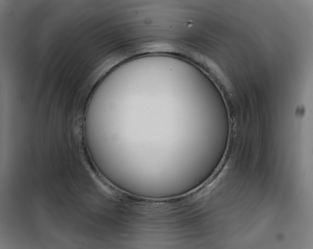 X0000101401225200807071022