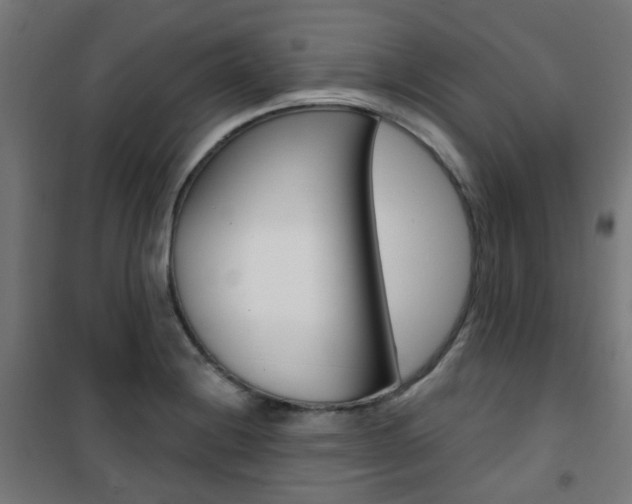 X0000101401228200807071022