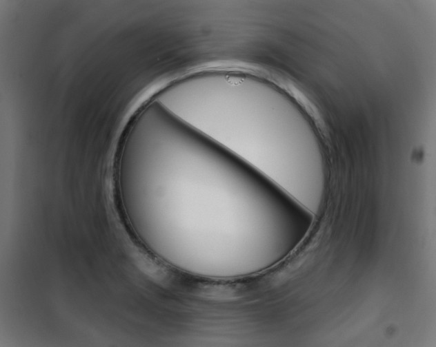 X0000101401229200807071022