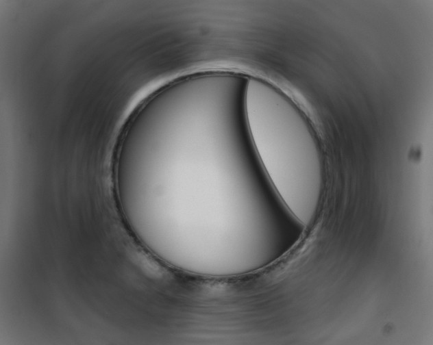 X0000101401230200807071022