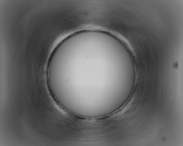 X0000101401231200807071022