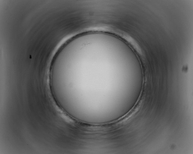 X0000101401232200807071022