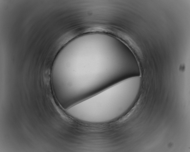 X0000101401233200807071022