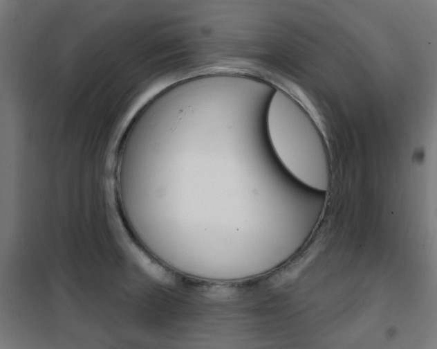 X0000101401235200807071022