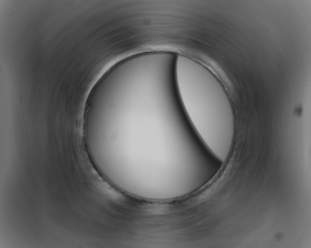 X0000101401236200807071022