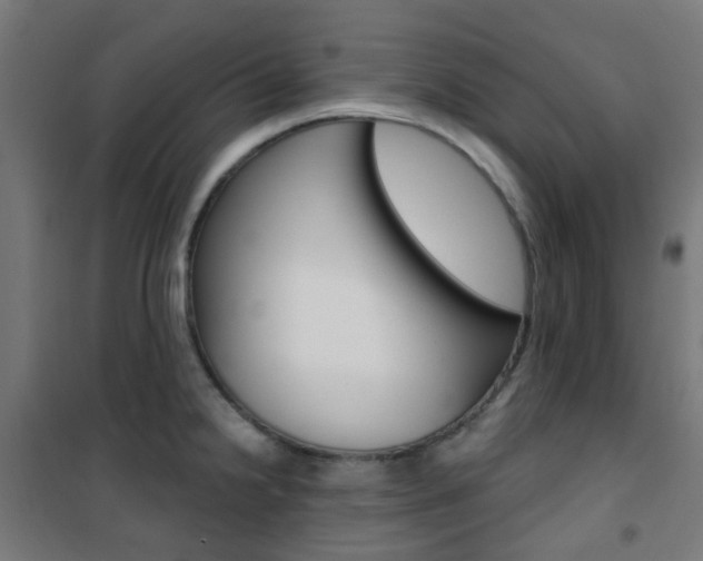 X0000101401238200807071022