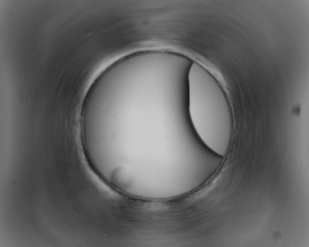 X0000101401239200807071022