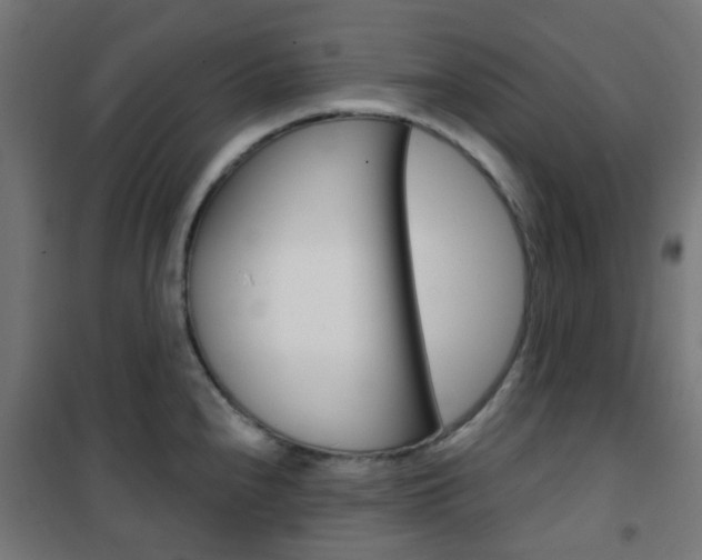 X0000101401240200807071022