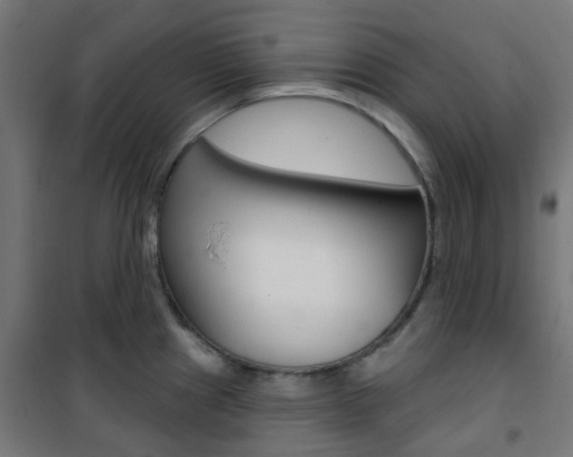 X0000101401241200807071022