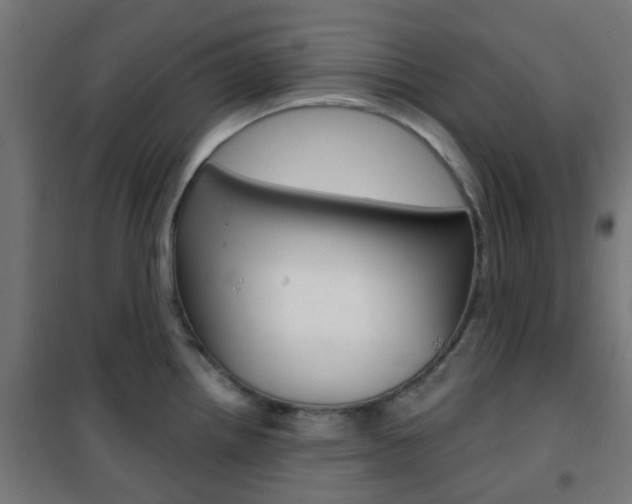 X0000101401242200807071022