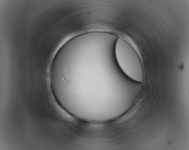 X0000101401243200807071022
