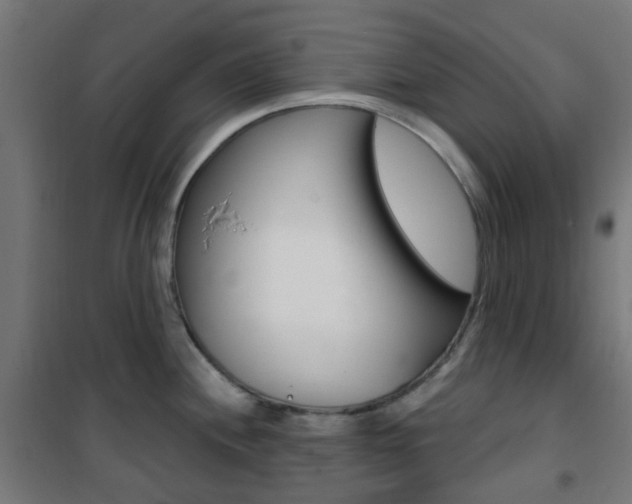 X0000101401244200807071022