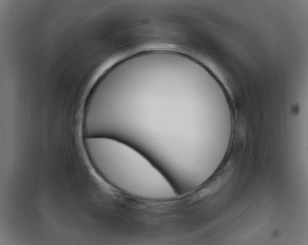 X0000101401245200807071022