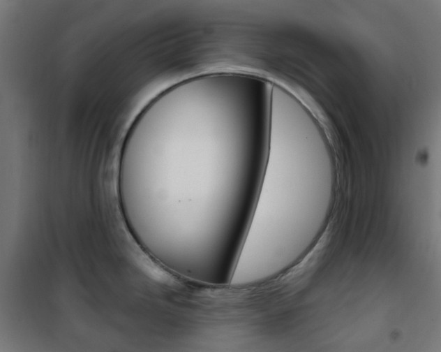 X0000101401246200807071022