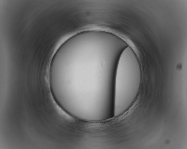 X0000101401247200807071022