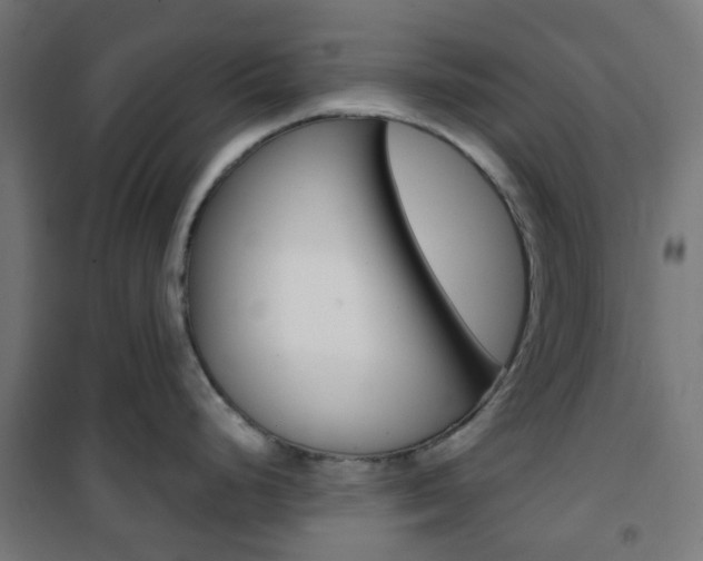 X0000101401248200807071022
