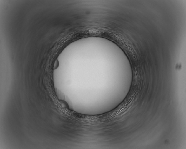 X0000101401249200807071021