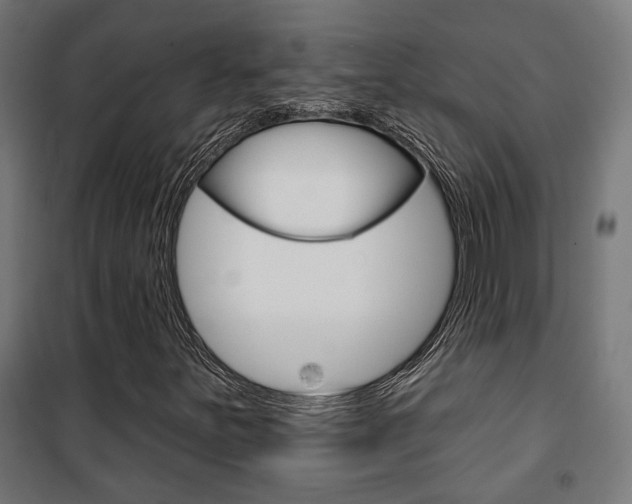 X0000101401251200807071021