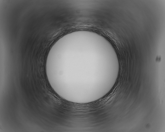 X0000101401252200807071021