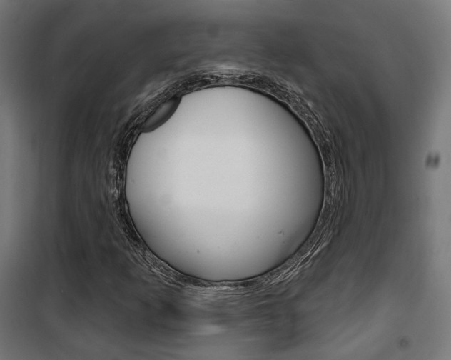 X0000101401253200807071021