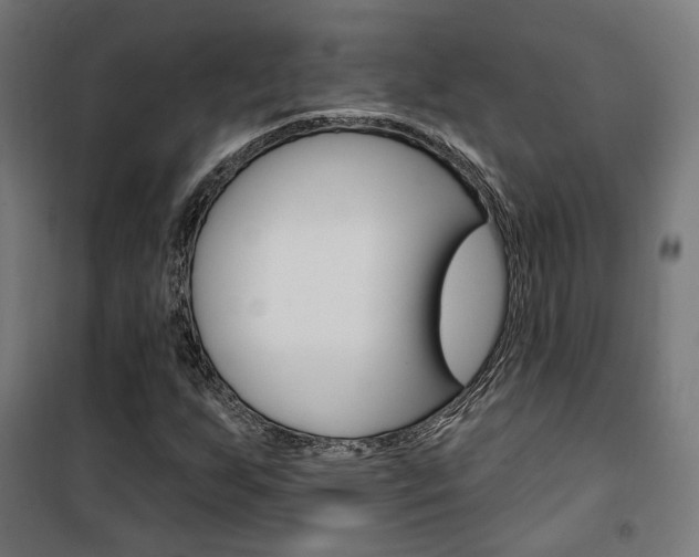 X0000101401255200807071021