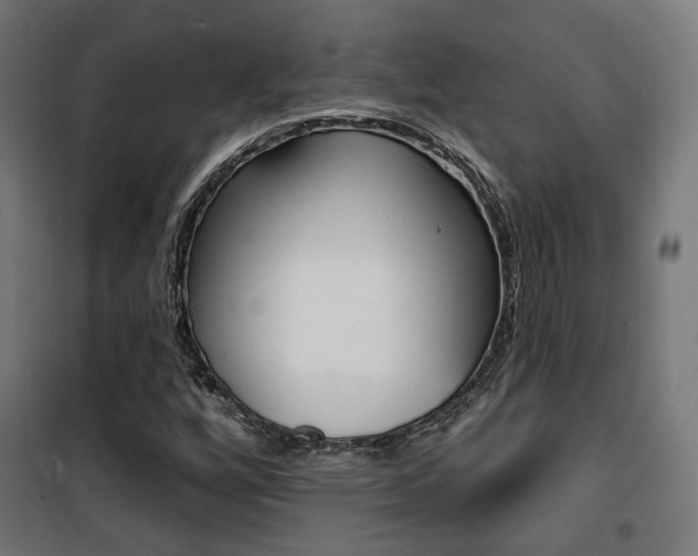 X0000101401256200807071021