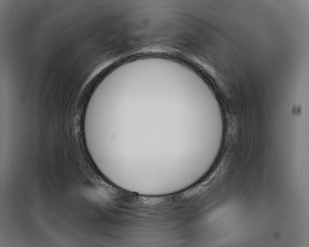 X0000101401258200807071021