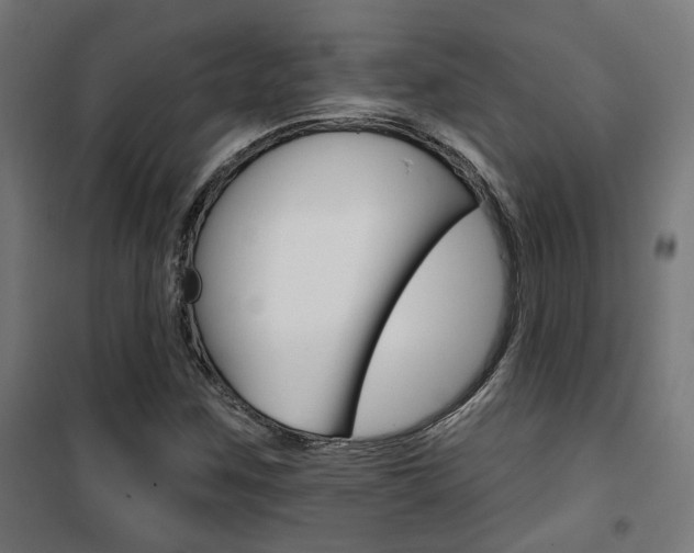 X0000101401259200807071021