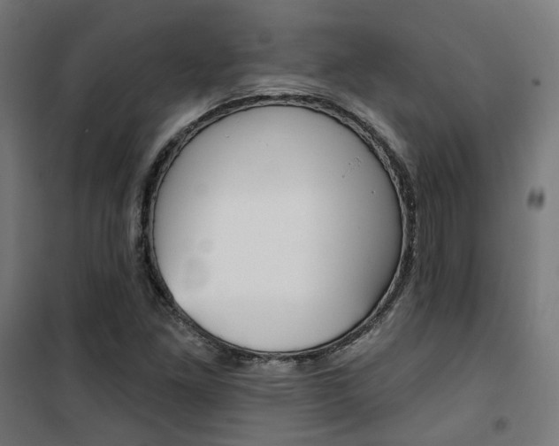 X0000101401261200807071021