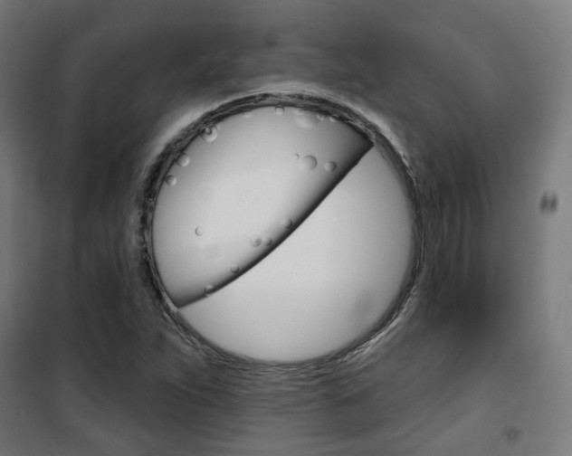 X0000101401263200807071021