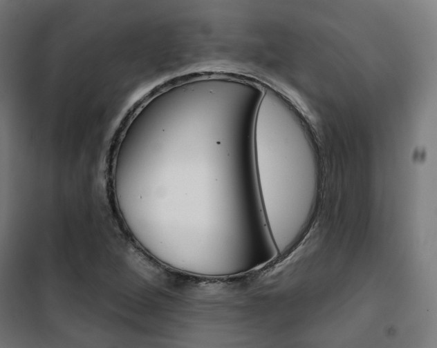 X0000101401264200807071021