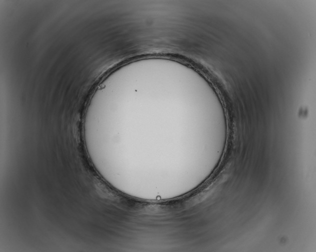 X0000101401265200807071021