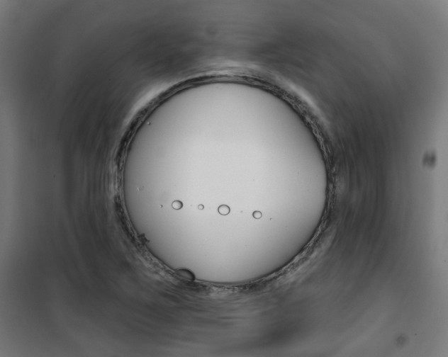 X0000101401267200807071021
