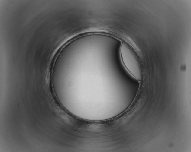 X0000101401268200807071021