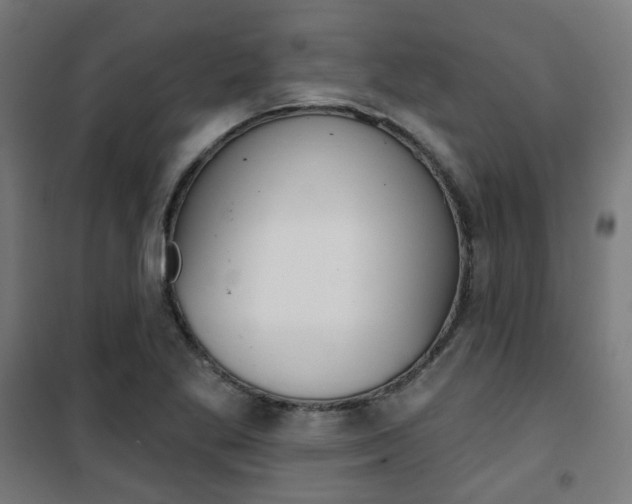 X0000101401269200807071021