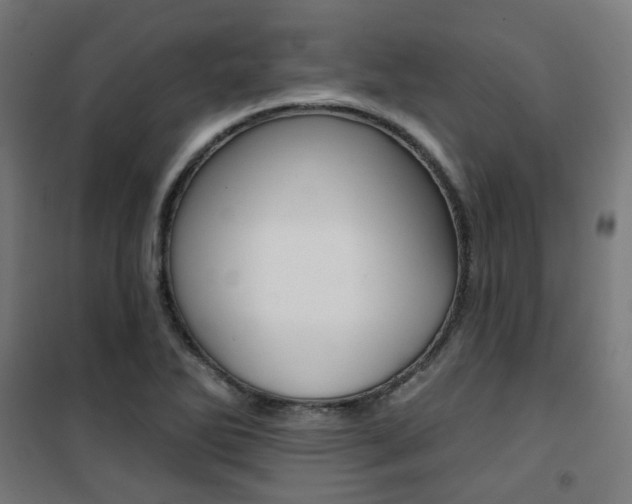 X0000101401270200807071021