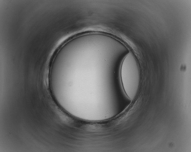 X0000101401272200807071021