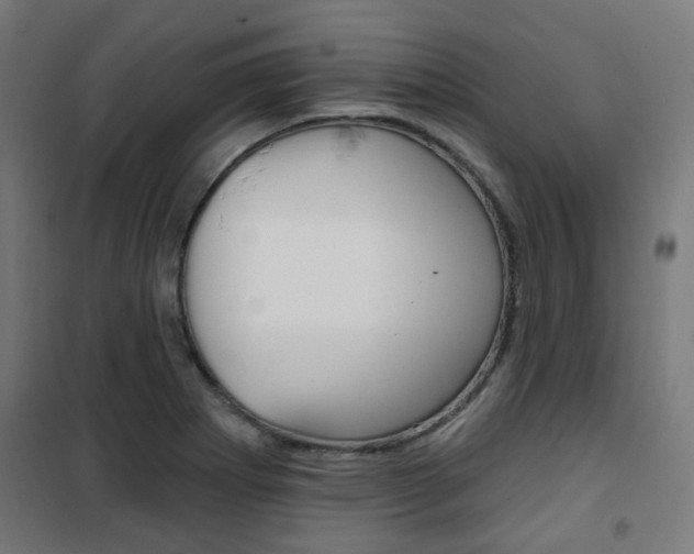X0000101401273200807071021
