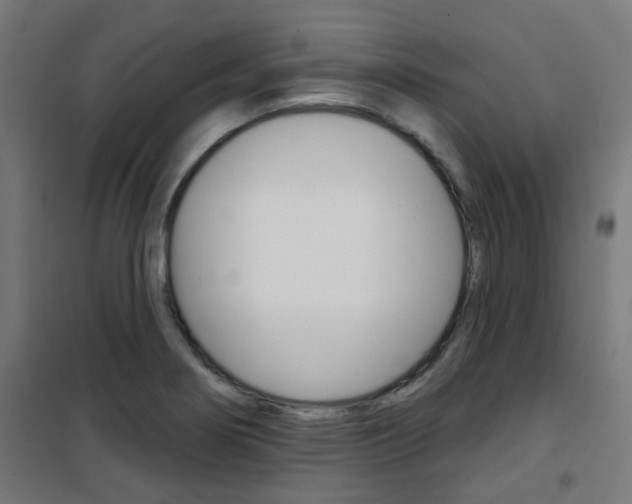 X0000101401274200807071021